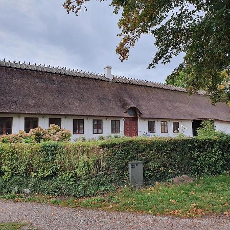 Ragnhilds Gård Vandrerhjem Nyord Eksteriør bilde