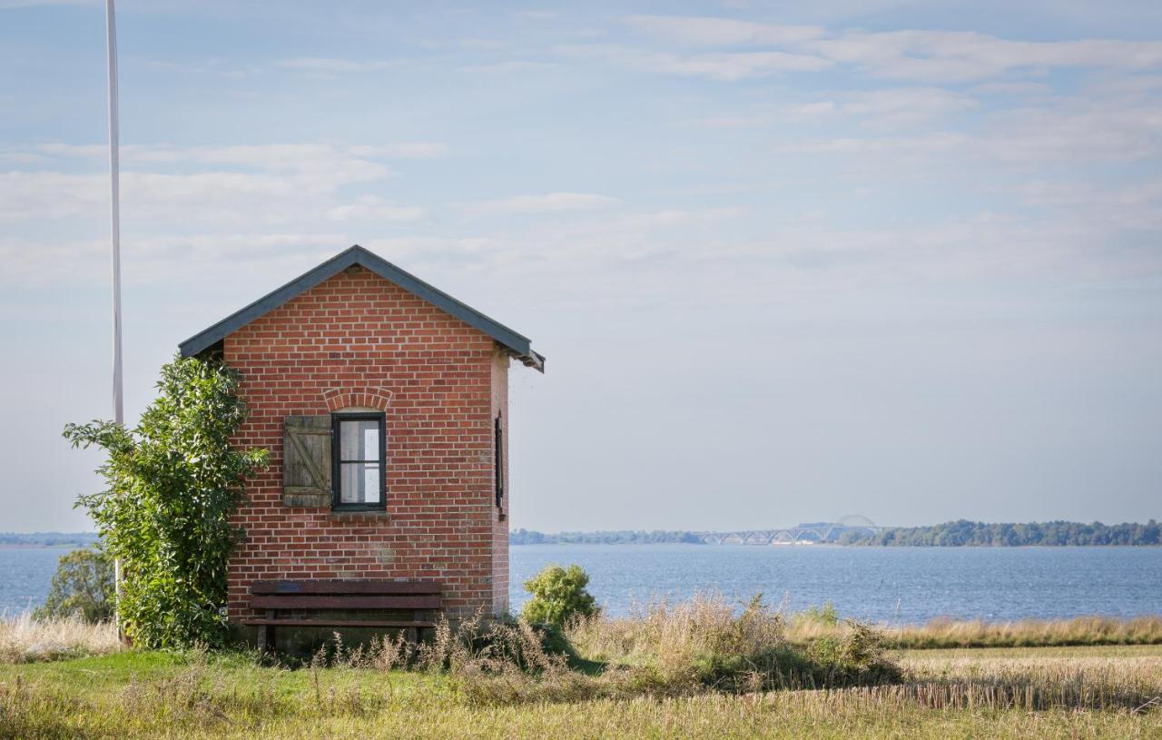 Ragnhilds Gård Vandrerhjem Nyord Eksteriør bilde